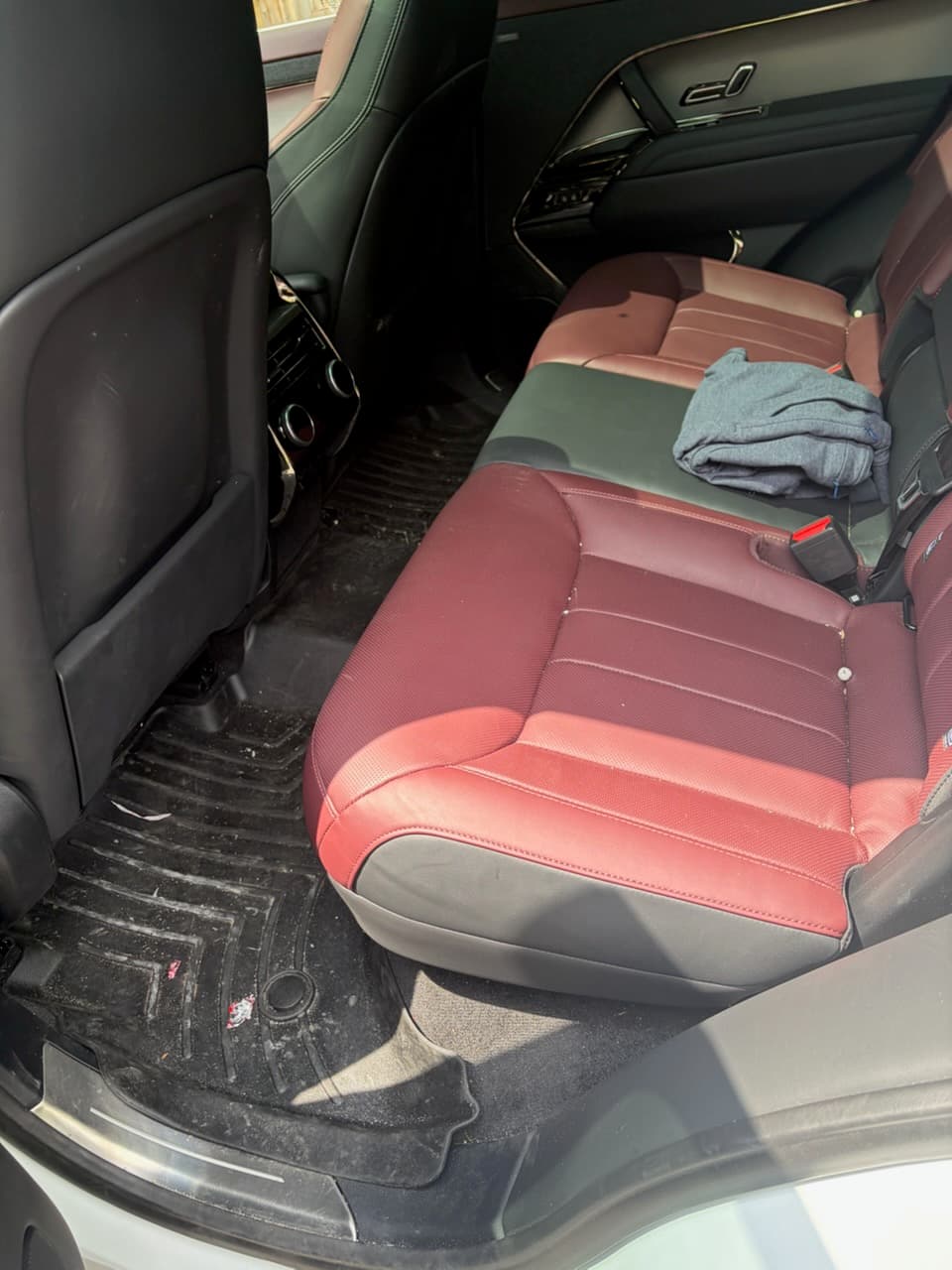 Before mobile auto detailing: Interior Detail + Pet Hair Removal